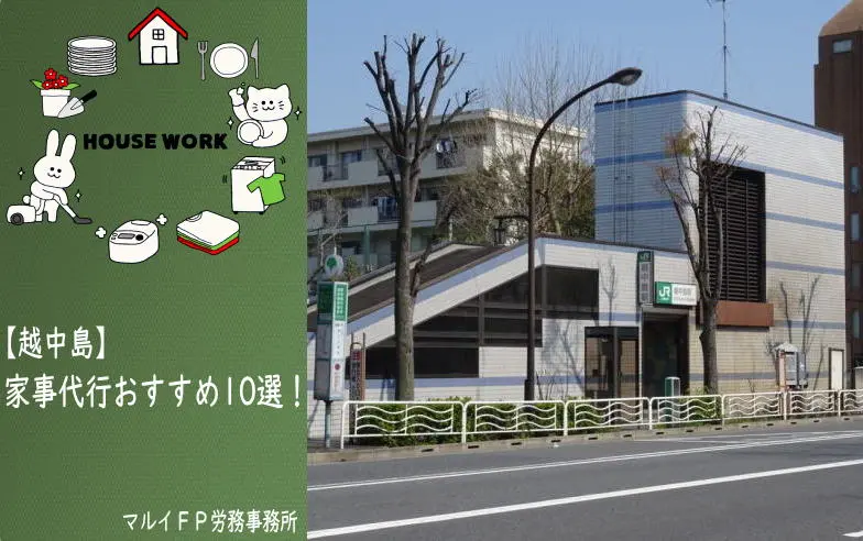 越中島の家事代行サービス