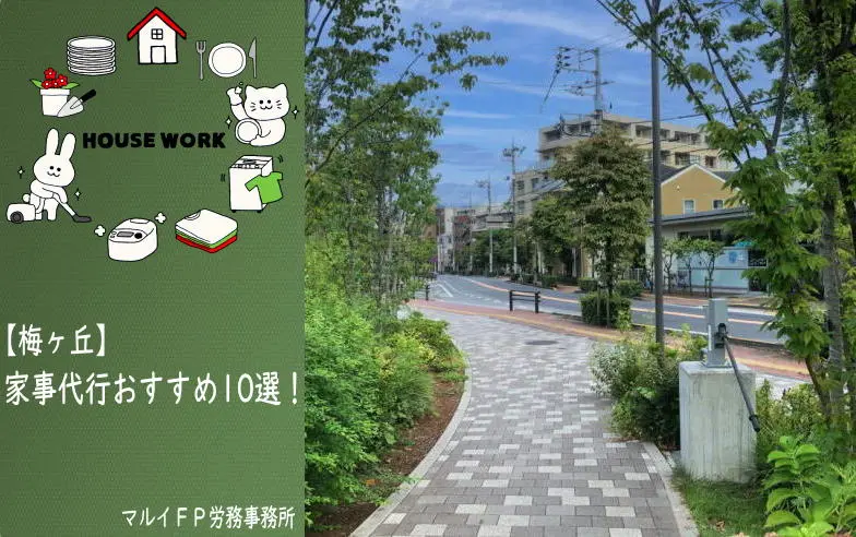 梅ヶ丘の家事代行サービス
