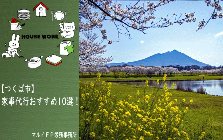 つくば市の家事代行サービス