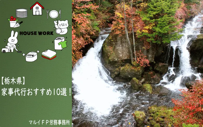 栃木県の家事代行サービス